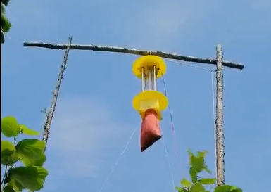 視頻展示太陽能殺蟲燈殺蟲效果，真的牛